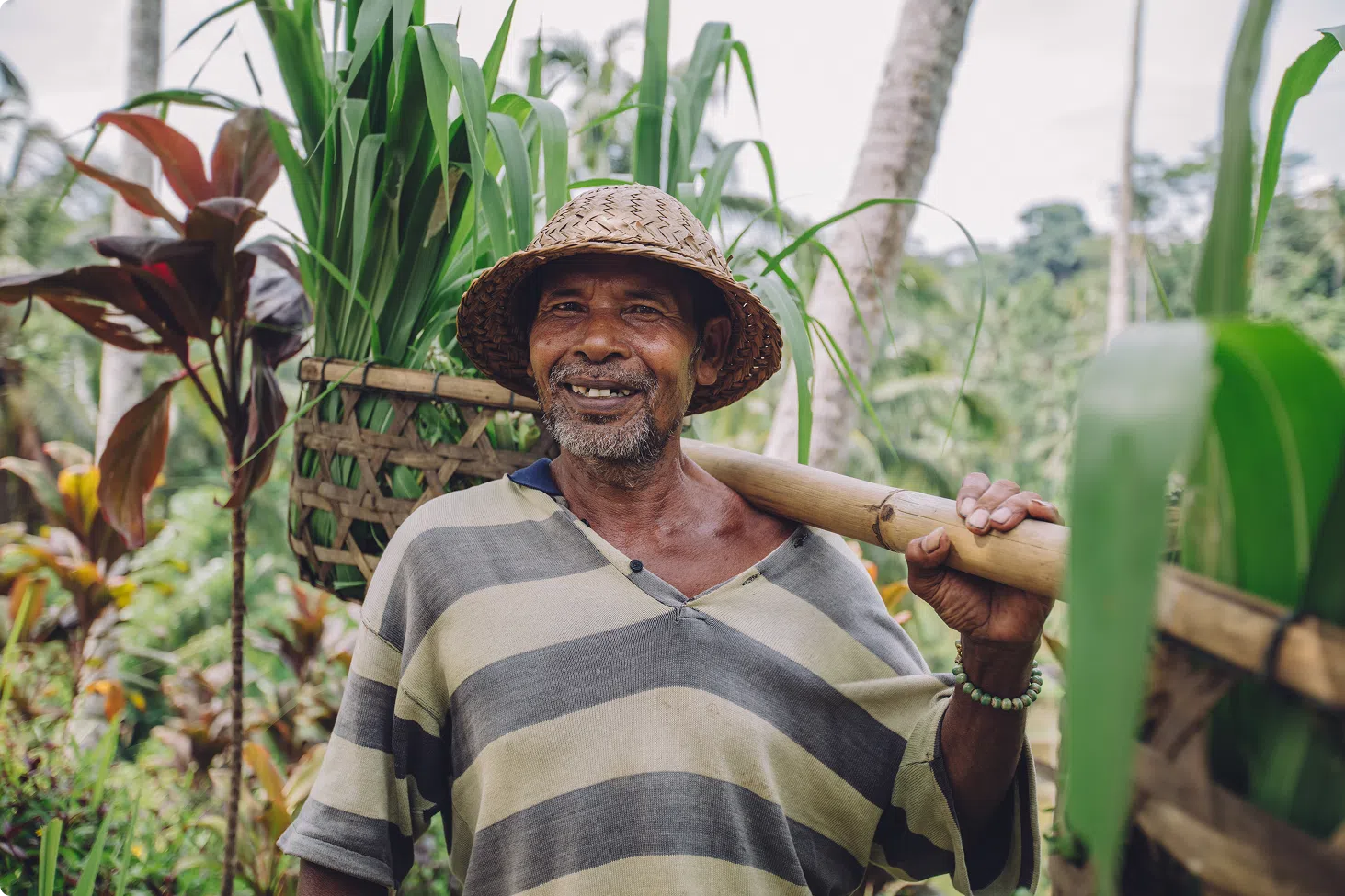 Farmer working